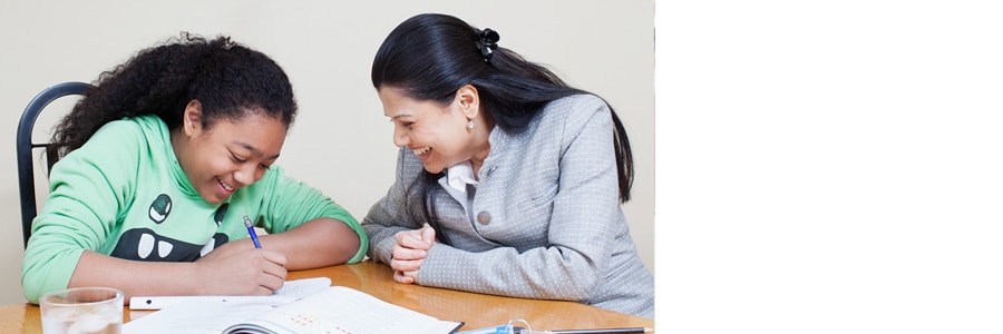 Certified Teachers as Tutors