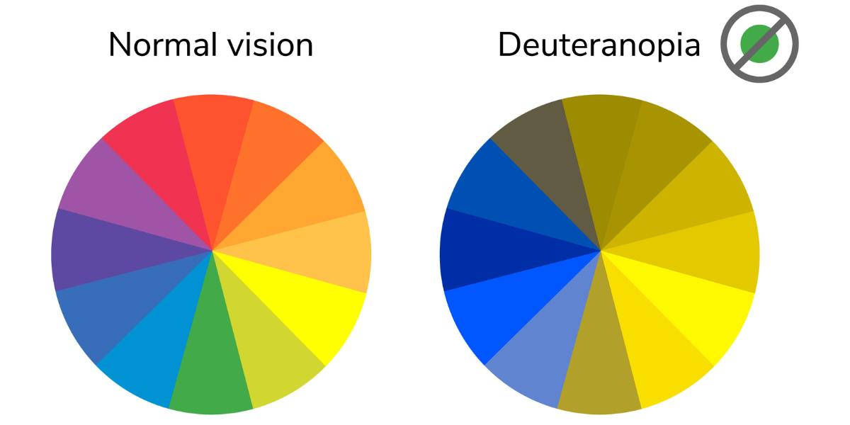 Side-by-side colour wheel comparison demonstrating how normal vision sees full spectrum versus deuteranopia colour blindness with reduced red-green perception