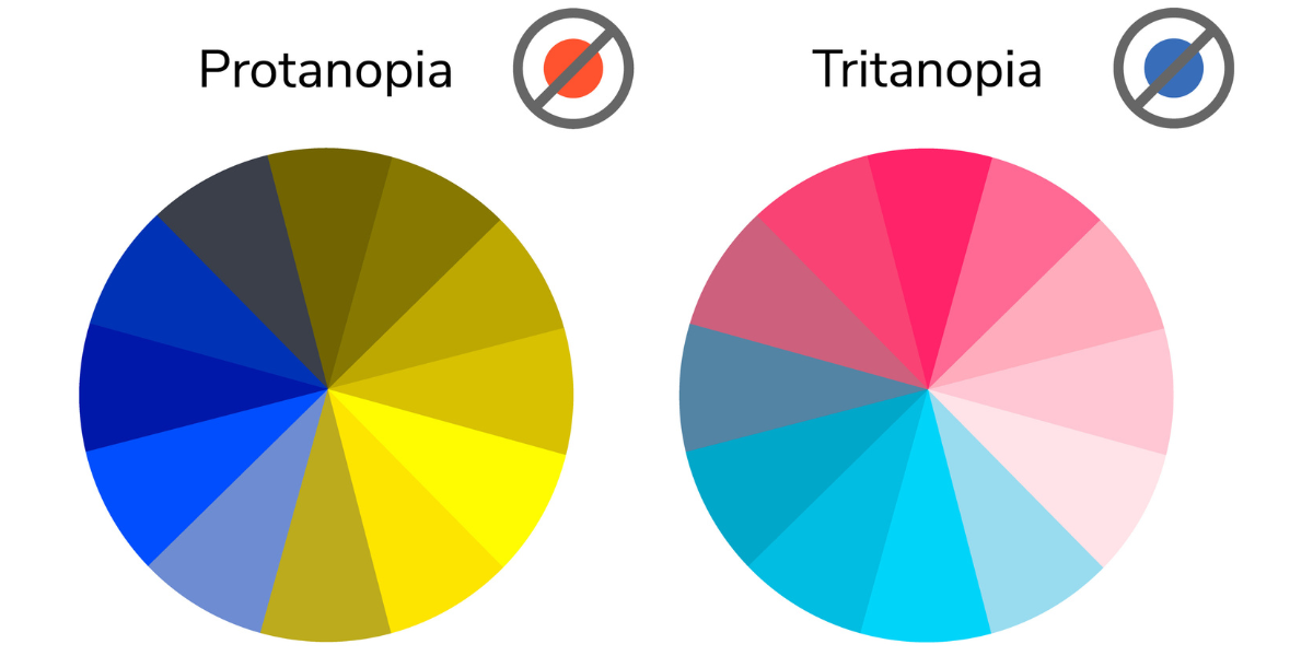 Colour wheel diagrams comparing protanopia and tritanopia colour blindness types, showing how each condition affects colour perception differently