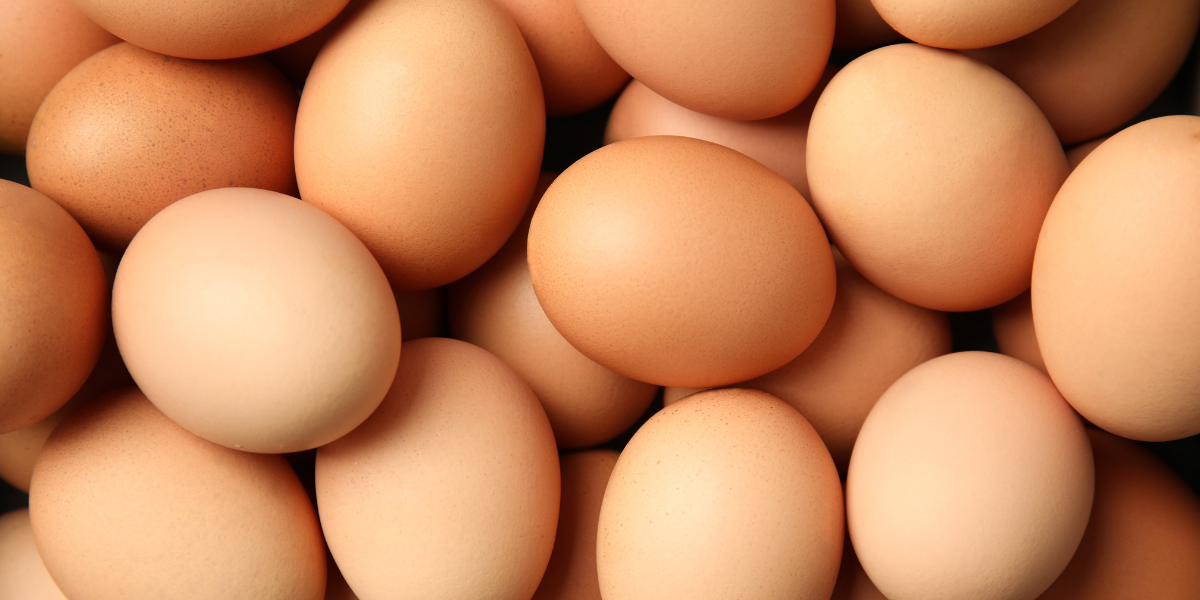 Close-up arrangement of farm-fresh chicken eggs displaying natural colour variations from cream to brown, perfect for food science education topics