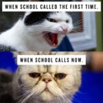 When your teen’s antics no longer surprise you, you know you’re a seasoned parent. This parenting teenagers meme gets it!