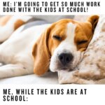 Parents start the day with big plans while the kids are at school… but somehow, sleep always wins. This parenting teenagers meme captures the struggle perfectly.