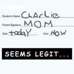 Teens think they’re masterminds, but parents always see through their tricks. This parenting teenagers meme perfectly captures their almost clever attempts.