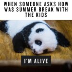 The excitement of summer break lasts about five minutes—then reality hits. This meme about parenting teenagers is too real!