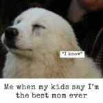 Despite the chaos, parenting teens is worth it. This heartfelt parenting teenagers meme reminds us why we love them anyway.