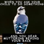 Teens always have to have the last word. This parenting teenagers meme is a hilarious take on the ongoing parent vs. teen showdown.