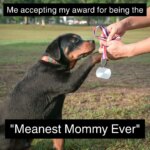 If your teen has ever called you the "meanest parent," congratulations—you’re doing it right! This meme about parenting teenagers proves it.