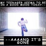 Teens can go from happy to furious in seconds. This parenting teenagers meme perfectly captures the rollercoaster of teenage mood swings.