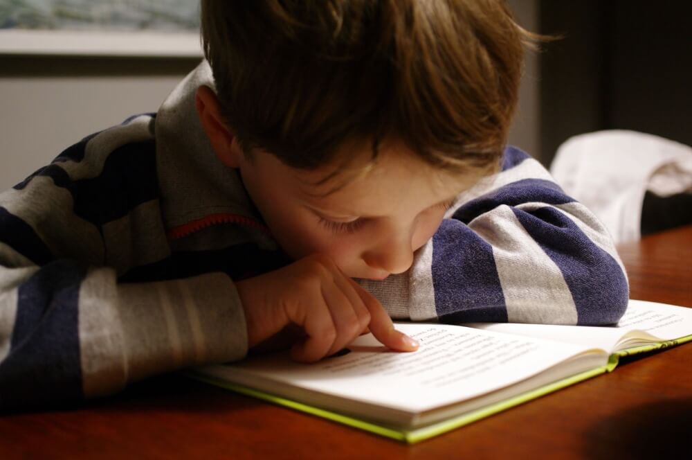 boy focusing on book