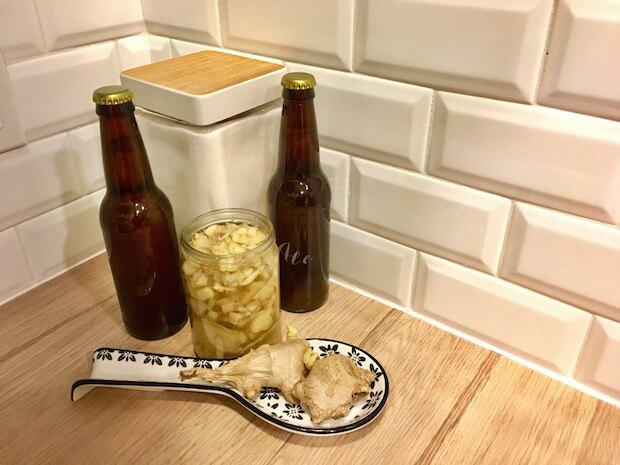 ginger ale with ginger bug - teach kids fermentation science article image